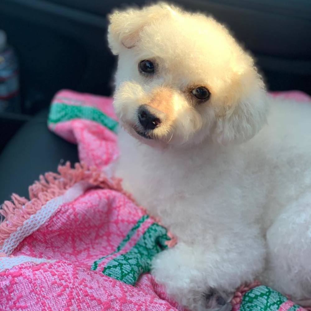 Meet your Posher, Thet